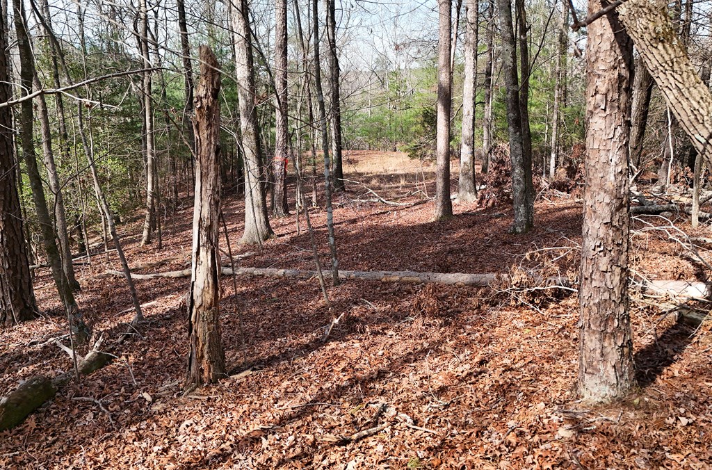 Lot #8 Casa Rio Drive Cornelia, GA 30531 - Photo 16 of 38