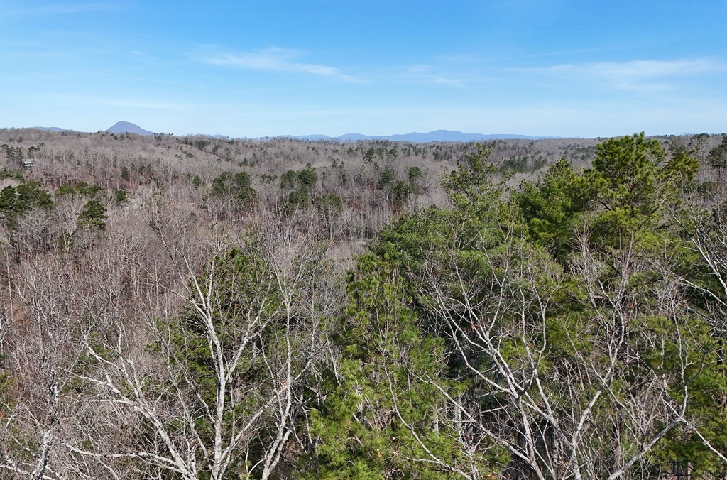 Lot #8 Casa Rio Drive Cornelia, GA 30531 - Photo 17 of 38