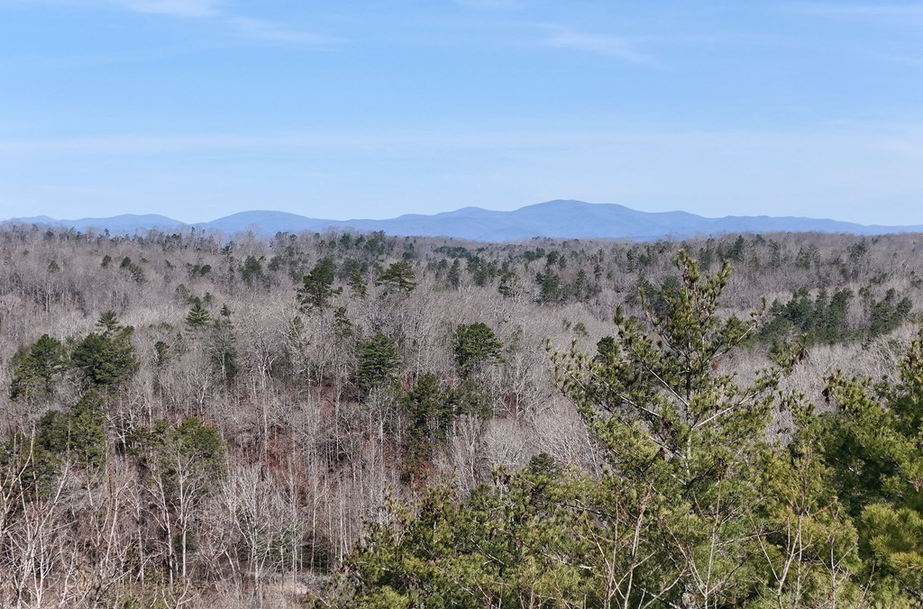 Lot #8 Casa Rio Drive Cornelia, GA 30531 - Photo 18 of 38