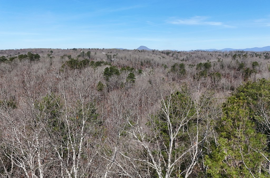 Lot #8 Casa Rio Drive Cornelia, GA 30531 - Photo 22 of 38