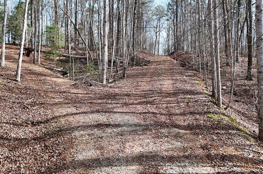 Lot #8 Casa Rio Drive Cornelia, GA 30531 - Photo 23 of 38