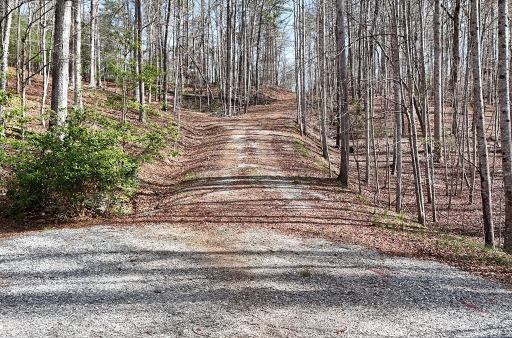 Lot #8 Casa Rio Drive Cornelia, GA 30531 - Photo 28 of 38