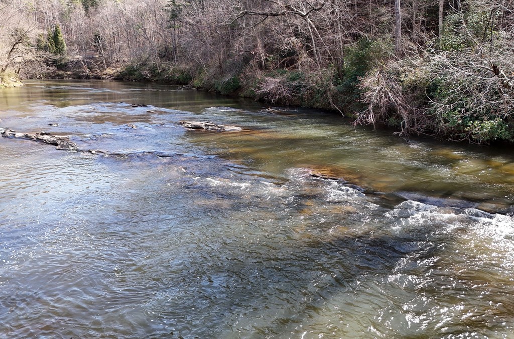 Lot #8 Casa Rio Drive Cornelia, GA 30531 - Photo 29 of 38