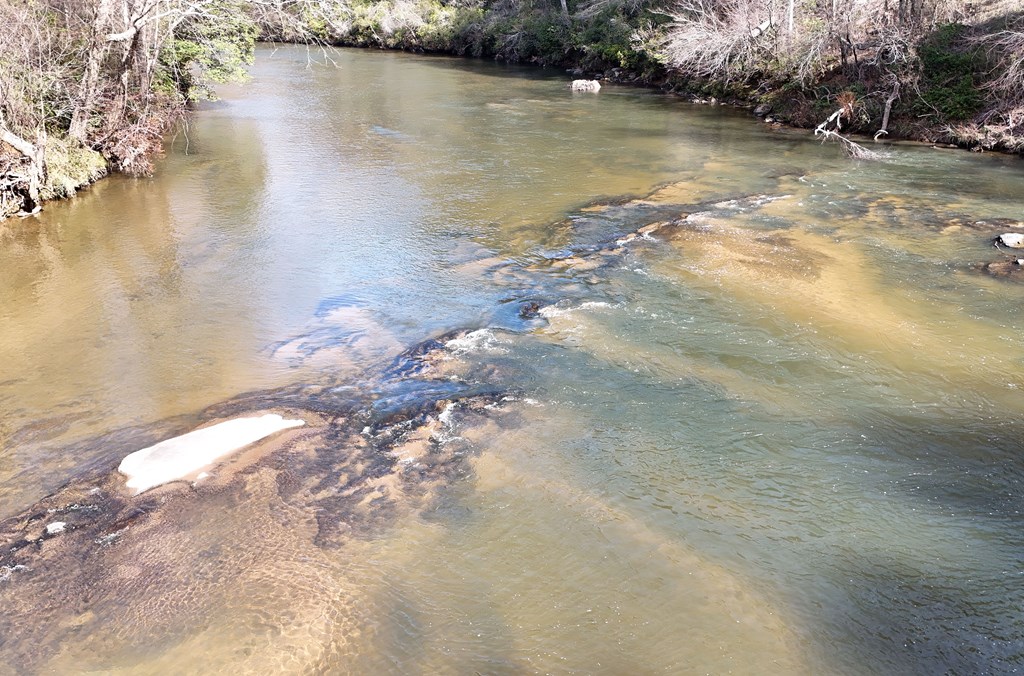 Lot #8 Casa Rio Drive Cornelia, GA 30531 - Photo 3 of 38