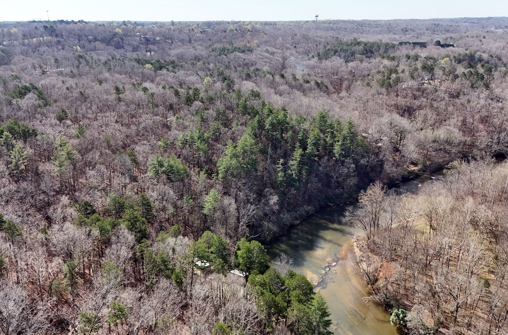 Lot #8 Casa Rio Drive Cornelia, GA 30531 - Photo 36 of 38