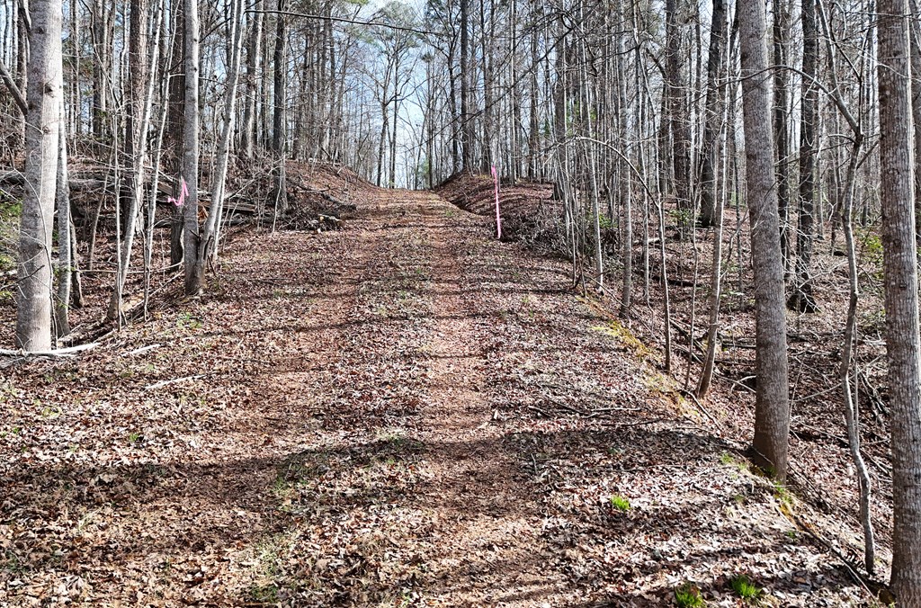 Lot #8 Casa Rio Drive Cornelia, GA 30531 - Photo 4 of 38