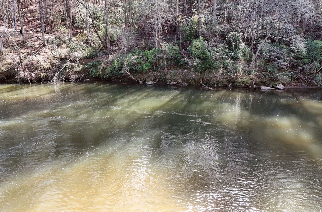 Lot #8 Casa Rio Drive Cornelia, GA 30531 - Photo 6 of 38