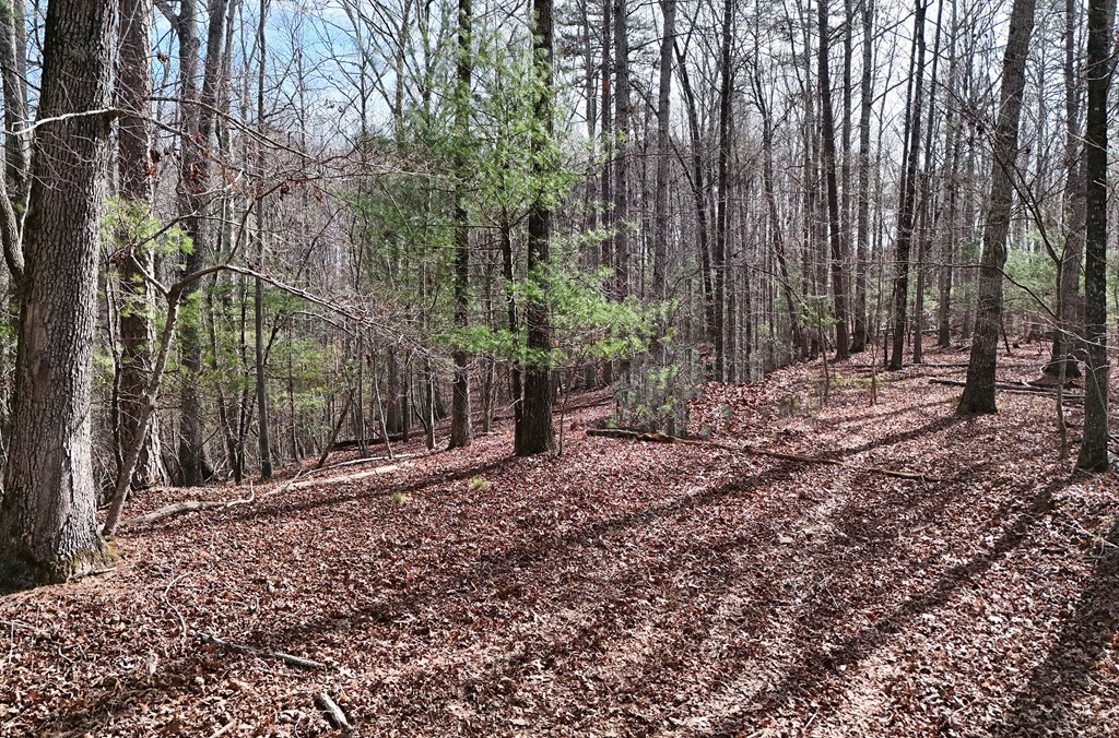 Lot #8 Casa Rio Drive Cornelia, GA 30531 - Photo 7 of 38