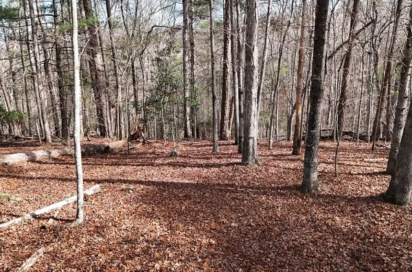 $379,000 | Lot #8 Casa Rio Drive, Cornelia, GA 30531