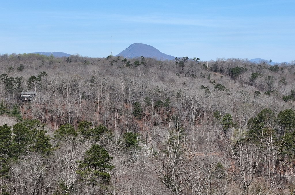 Lot #8 Casa Rio Drive Cornelia, GA 30531 - Photo 9 of 38 Yonah from the tree tops