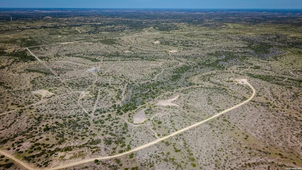 a view of a dry yard with large trees