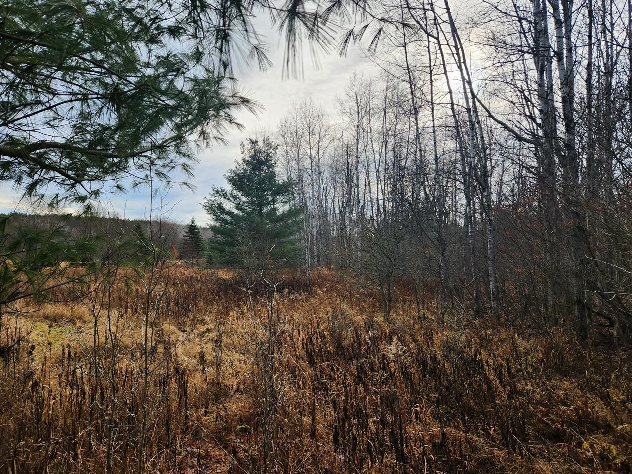 6473 Maple Hill Road Southwest Fife Lake, MI 49633 - Photo 10 of 18 Gallery Image 10