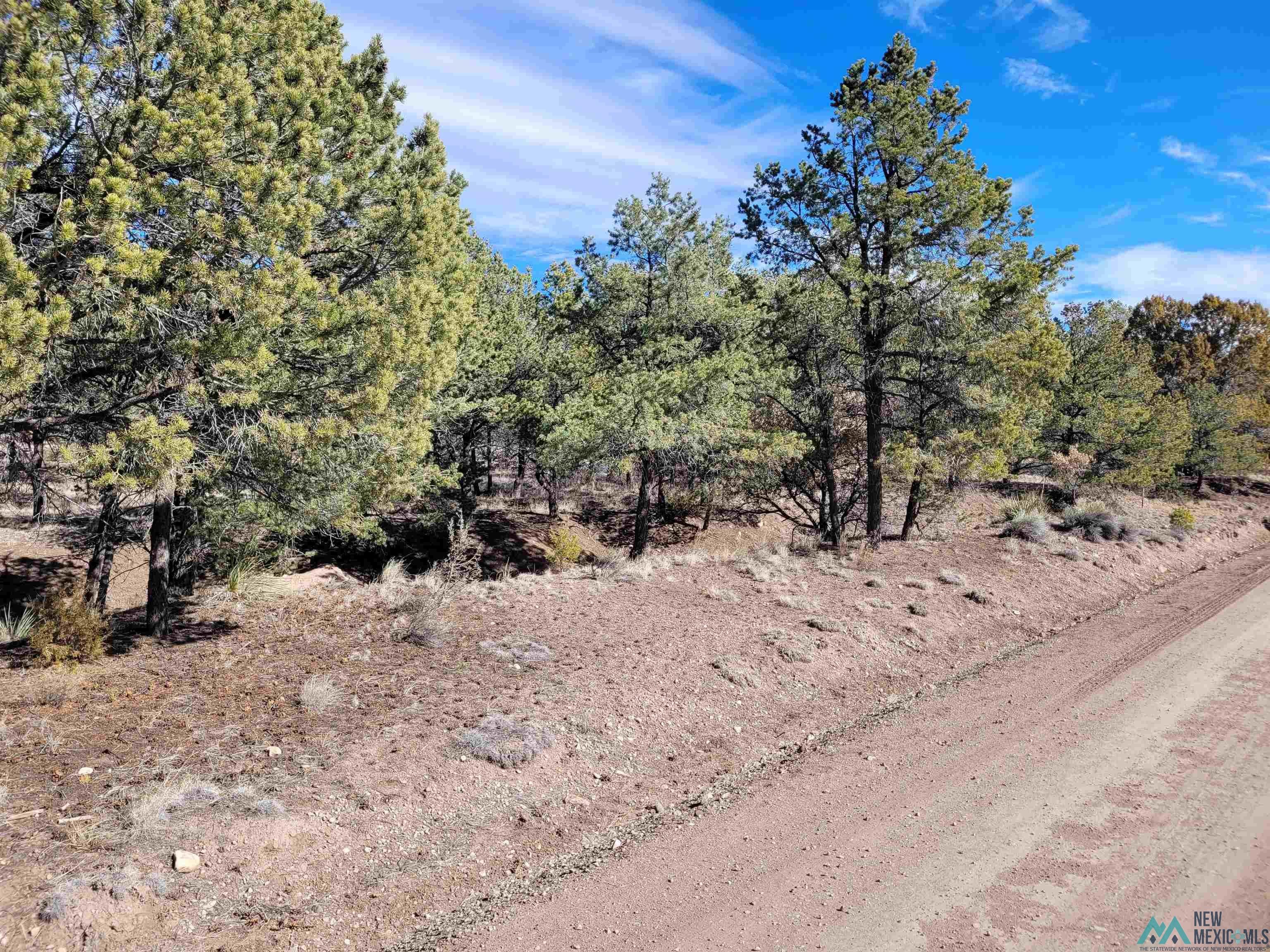 Xx Homestead Trail Datil, NM 87821 - Photo 2 of 20