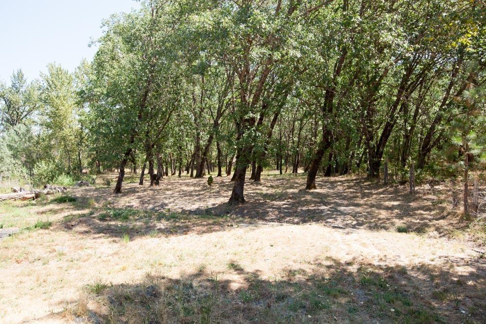 2891 Jerome Prairie Road Grants Pass, OR 97527 - Photo 10 of 23 Additional Photo