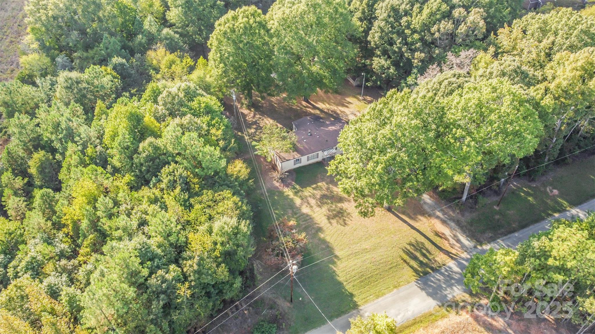 11500 Beagle Street Midland, NC 28107 - Photo 14 of 15 a picture of tree