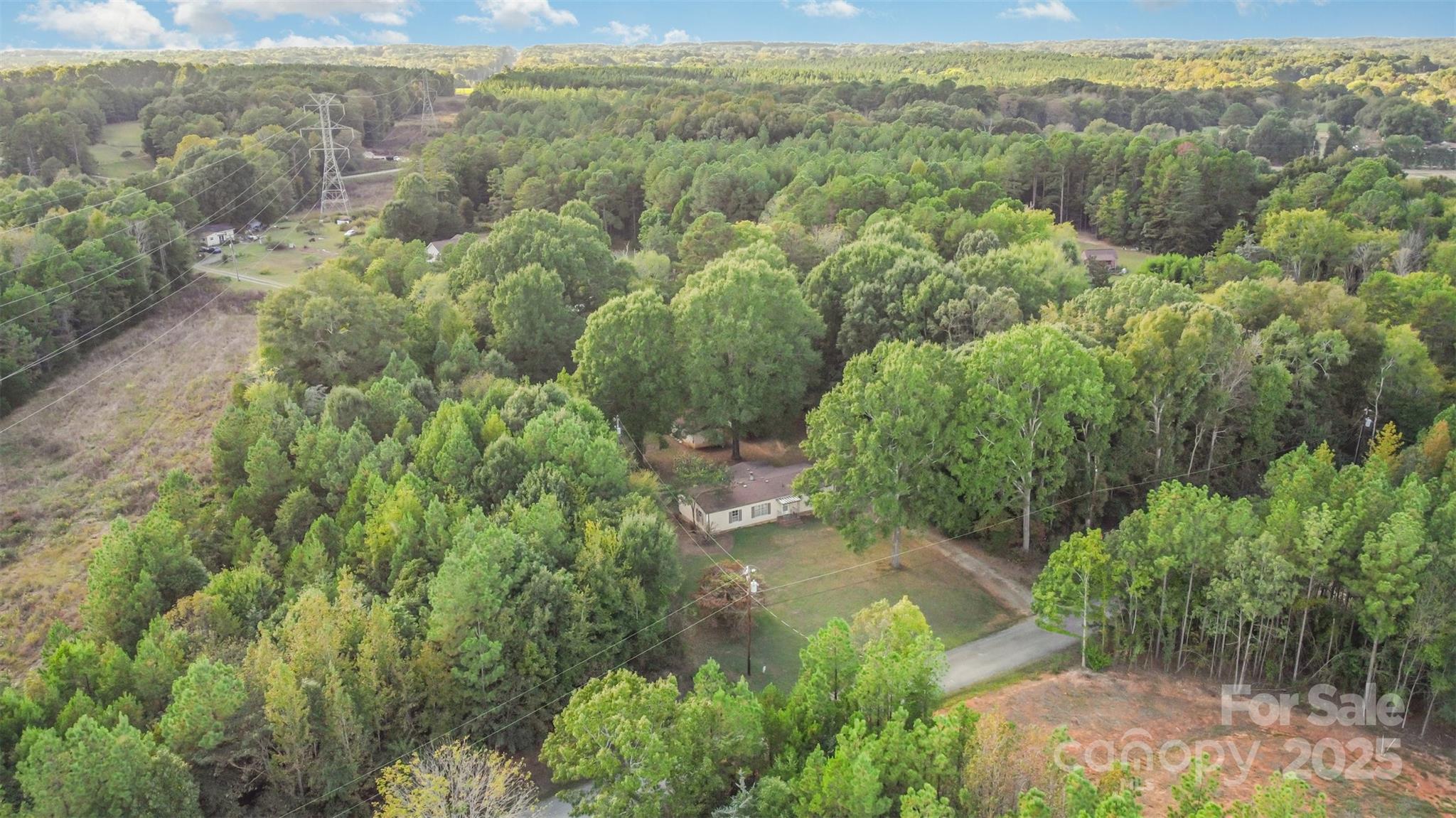 11500 Beagle Street Midland, NC 28107 - Photo 6 of 15 a view of a forest with a lake