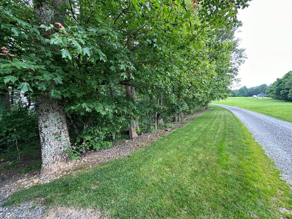 972 Rhododendron Road Hillsville, VA 24343 - Photo 64 of 75 Gallery Image 64