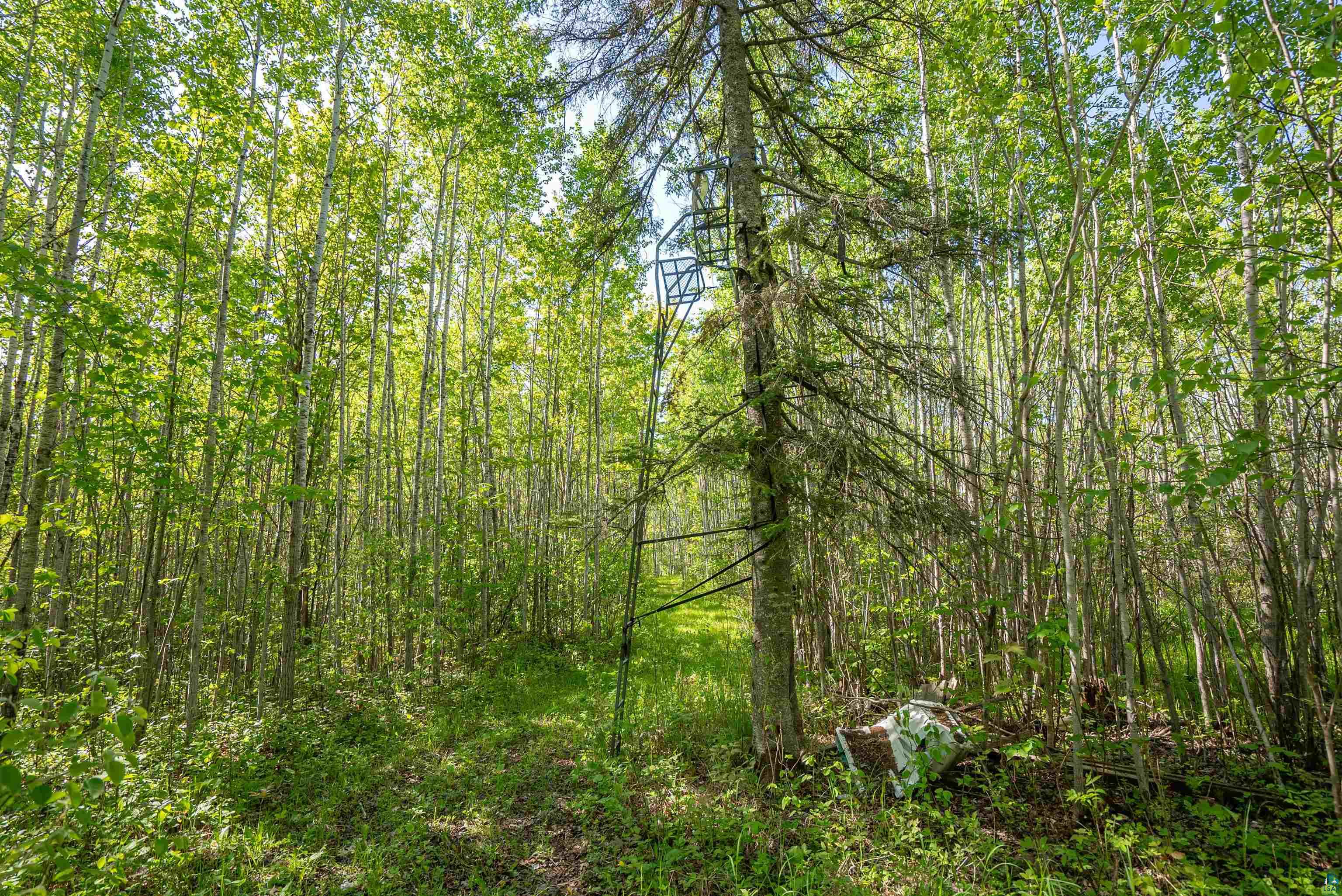3679 22nd Road South Range, WI 54874 - Photo 42 of 48