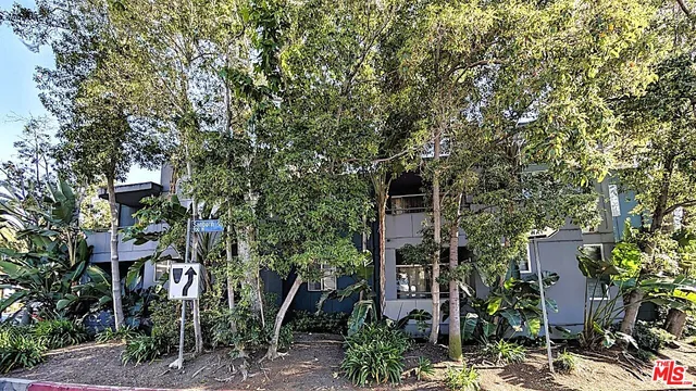 a backyard of a house with lots of trees