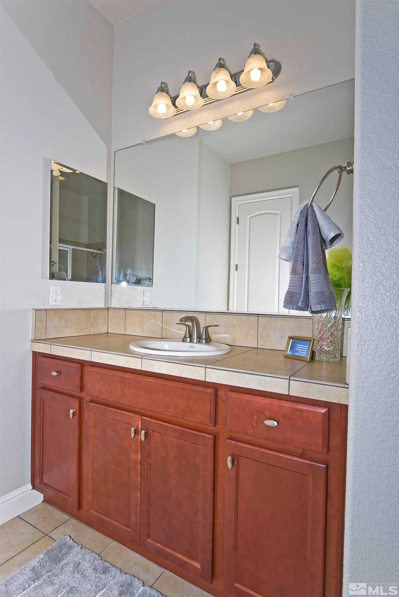 490 Spanish Sand Drive Sparks, NV 89441 - Photo 25 of 37 Photo 24