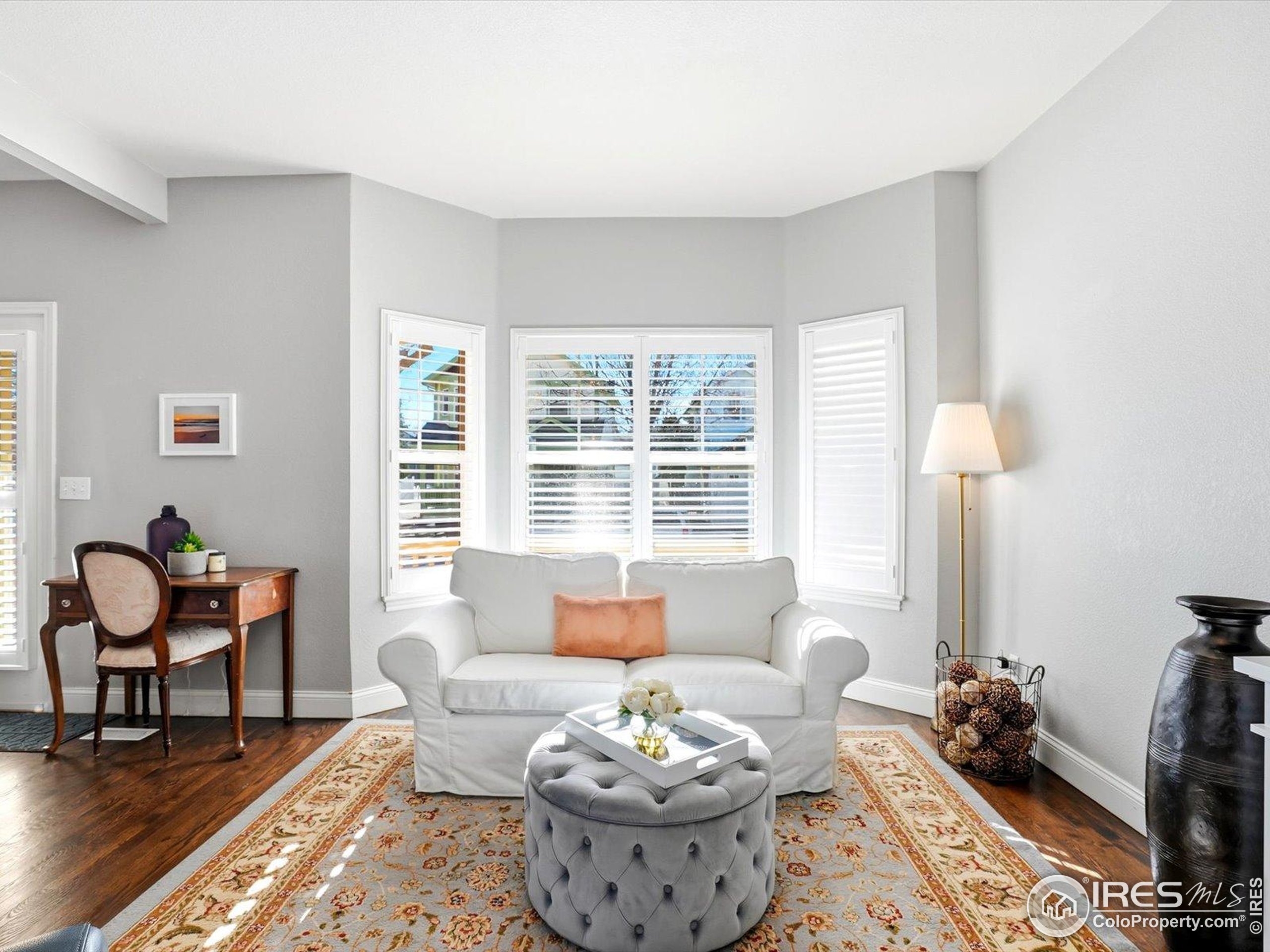 2139 Springs Place Longmont, CO 80504 - Photo 12 of 50 a living room with furniture and a potted plant