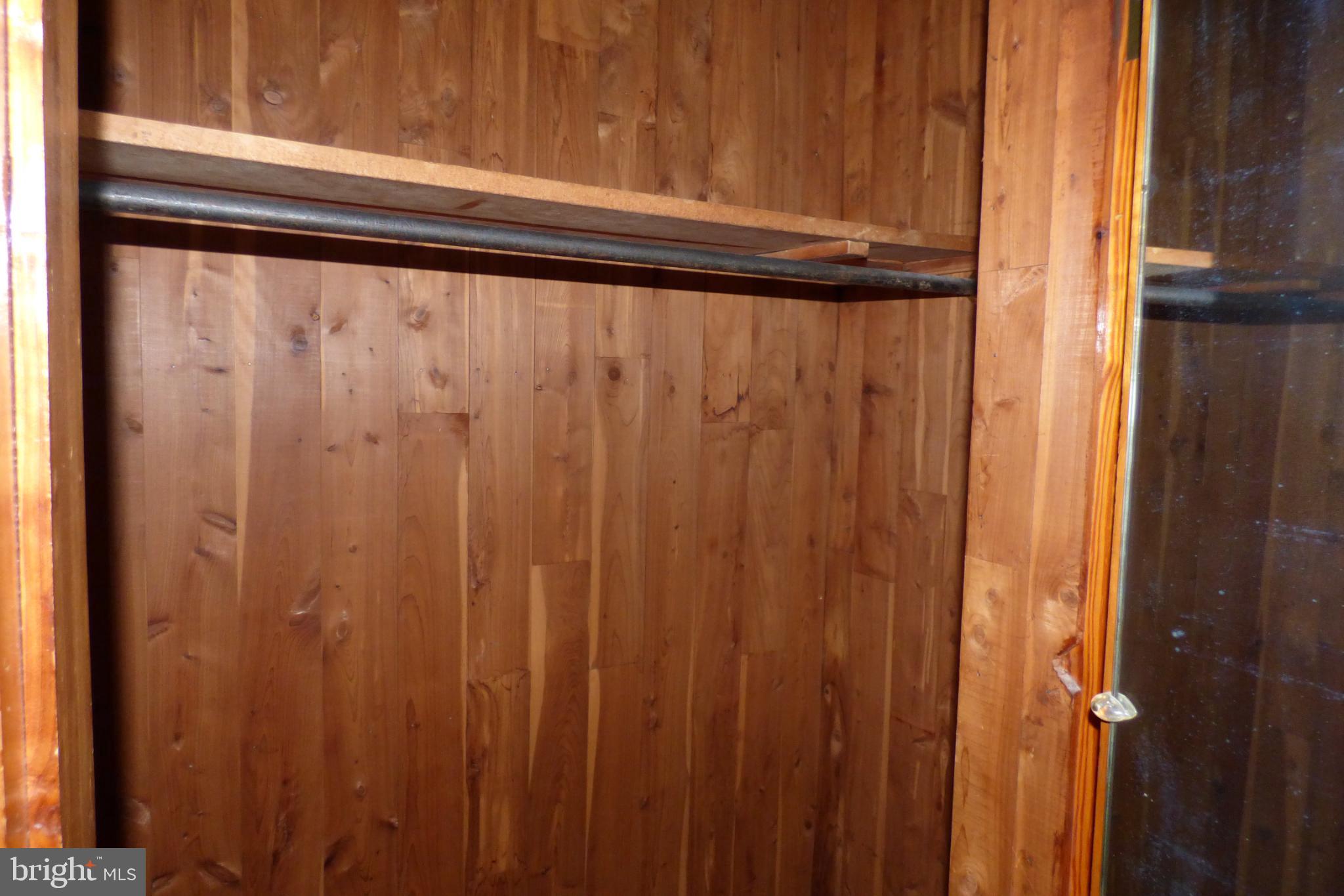 430 Moul Avenue Hanover, PA 17331 - Photo 11 of 30 Spacious wooden closet with ample storage.