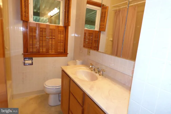 a bathroom with a sink and a toilet