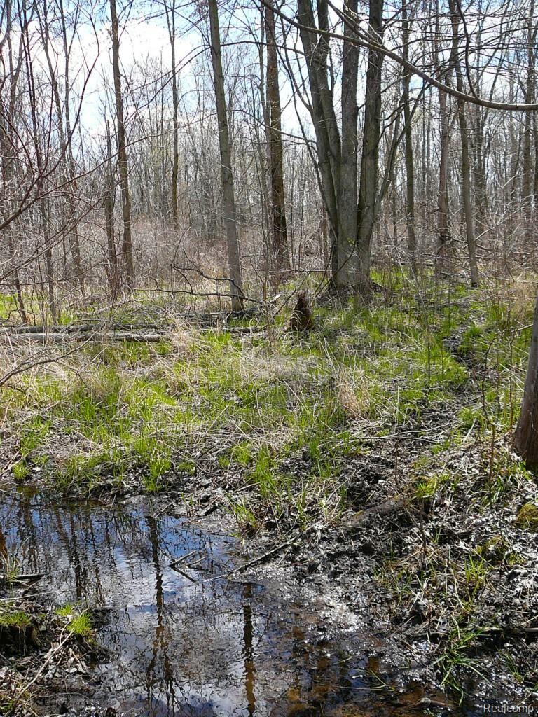0 Brimley Road West Webberville, MI 48892 - Photo 18 of 36 2015-04-26 12.09