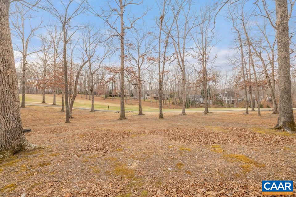 28 Out Of Bounds Road Palmyra, VA 22963 - Photo 42 of 46