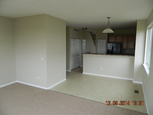 847 Daniel Drive Minooka, IL 60447 - Photo 4 of 20