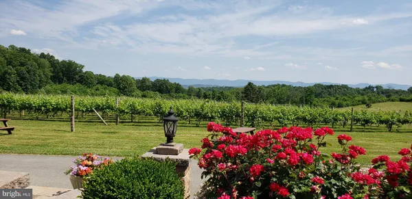 $2,900,000 | 4204 Old Fincastle Road, Fincastle, VA 24090