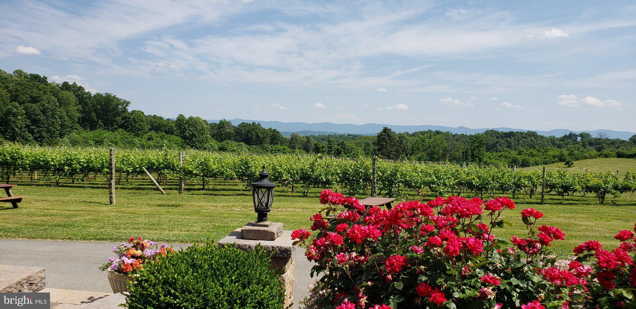 4204 Old Fincastle Road Fincastle, VA 24090 - Photo 1 of 84 Vineyard Serenity with Mountain Views