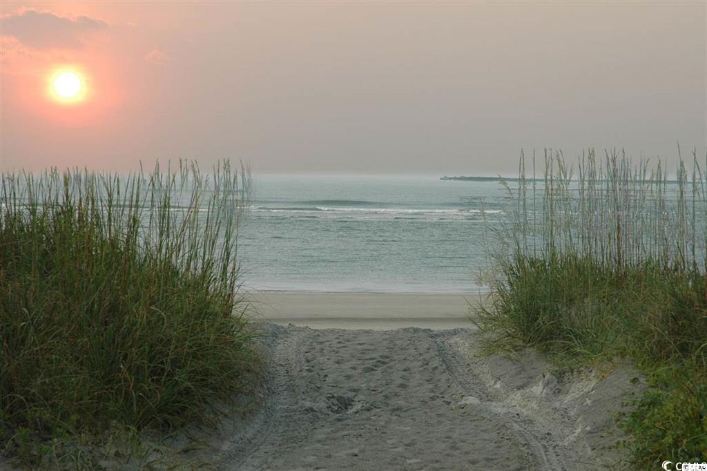 753 Sturdy Root Place Myrtle Beach, SC 29588 - Photo 16 of 19 Gallery Image 16