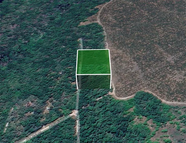 a green field with lots of bushes