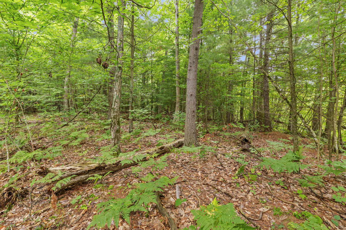 V/l East Stanton Road Stanton, MI 48888 - Photo 26 of 26 Vacant-land-just_014