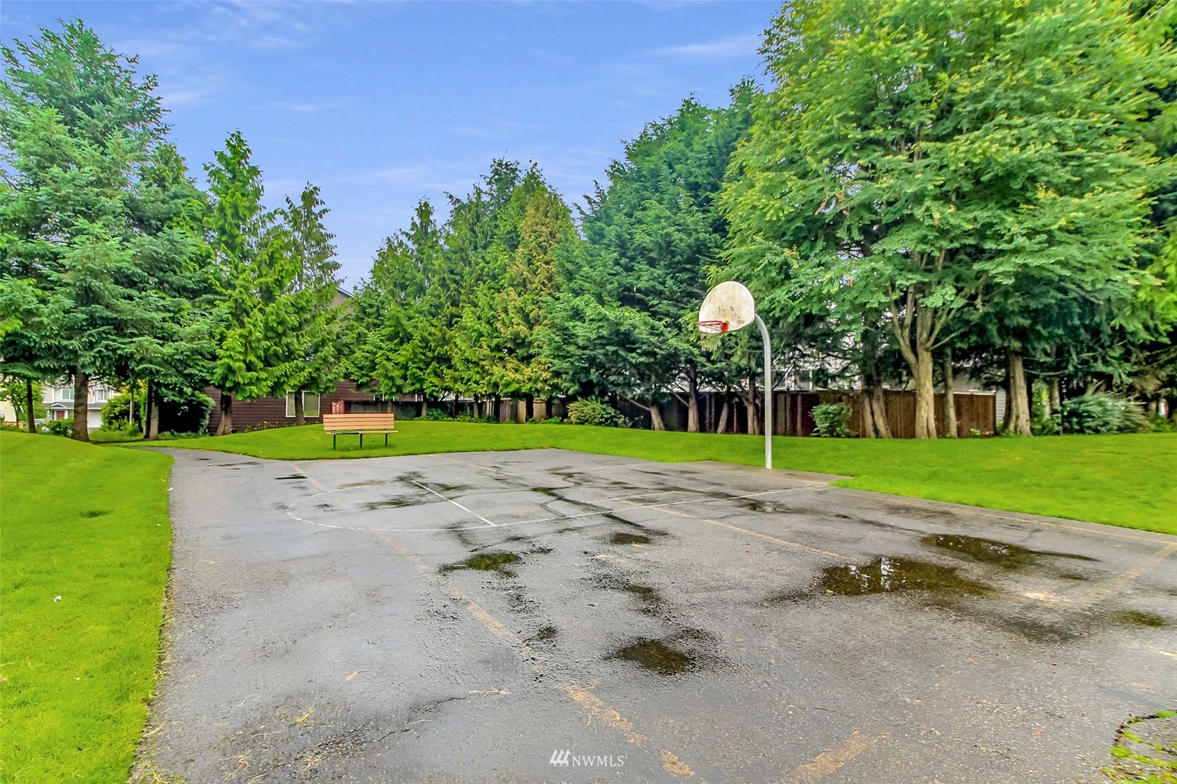 25815 176th Place Southeast Covington, WA 98042 - Photo 35 of 36 a view of a park with plants and trees