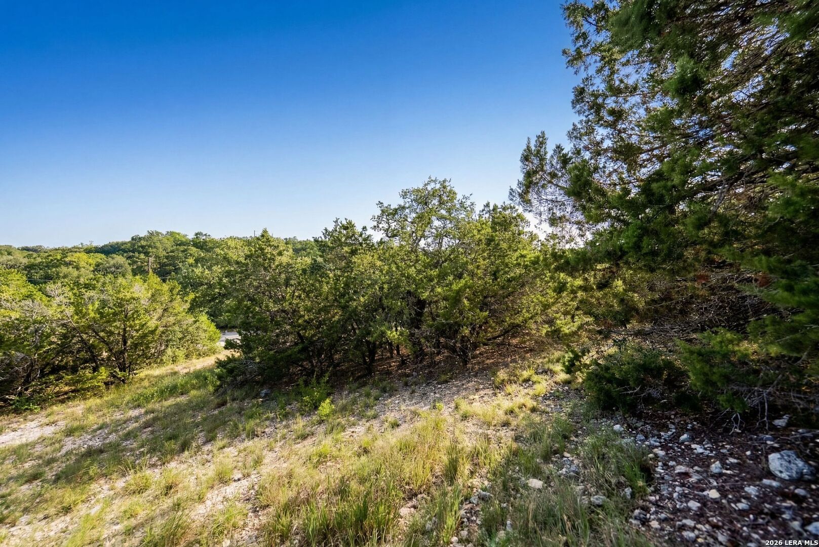 0 Contour Drive Spring Branch, TX 78070 - Photo 6 of 19