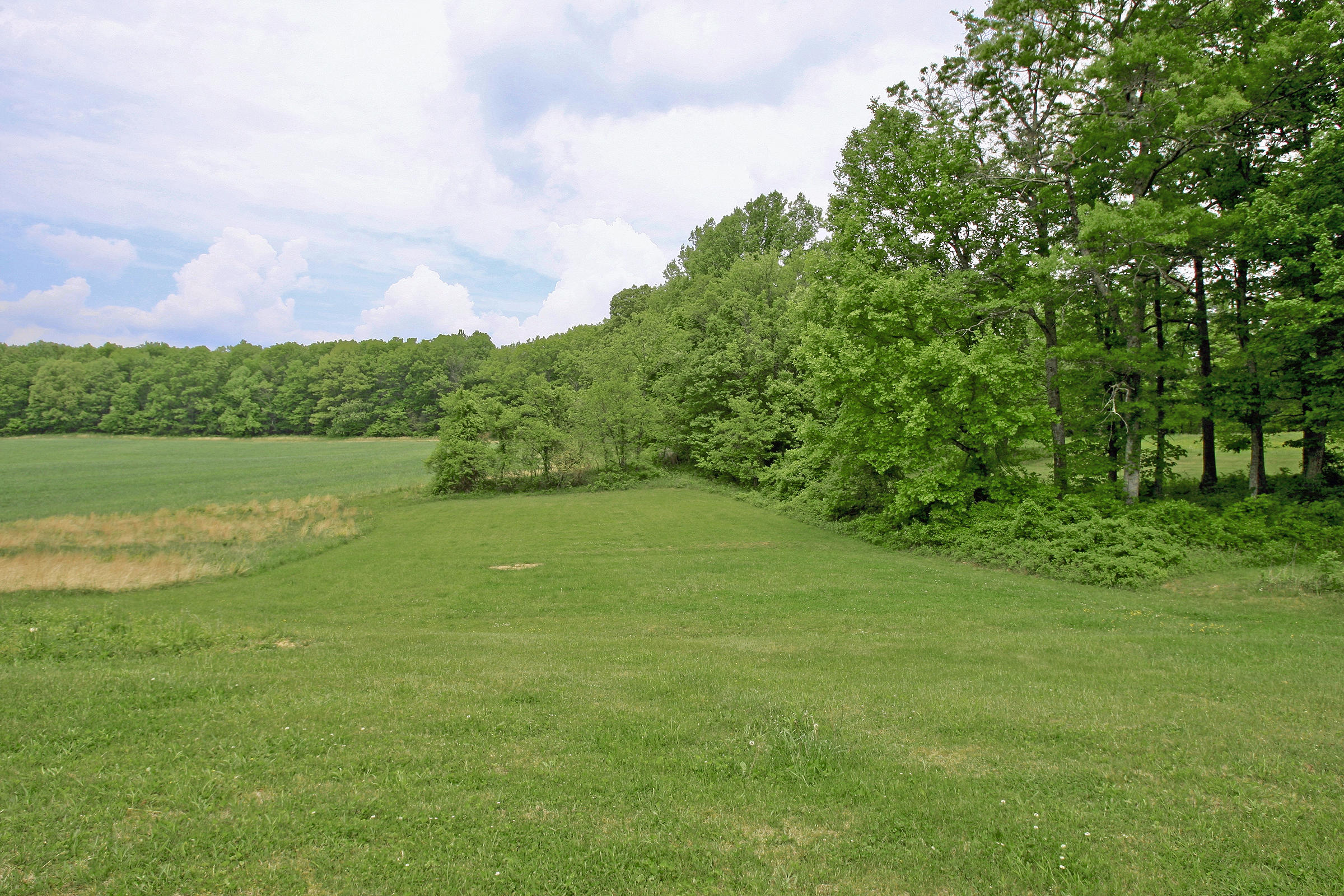 1058 Silverleaf Road Southeast Floyd, VA 24091 - Photo 26 of 55 a view of a field with an trees