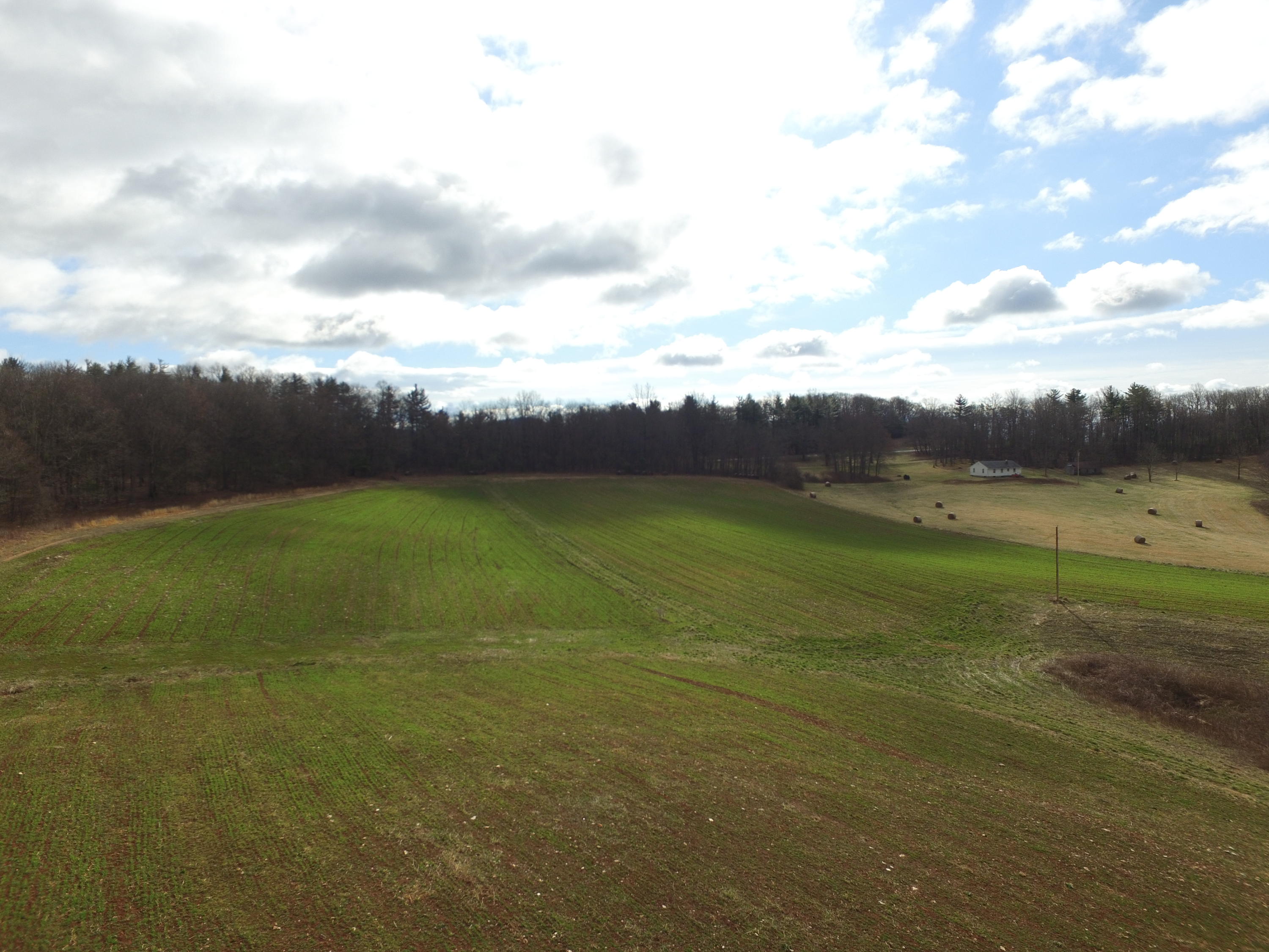 1058 Silverleaf Road Southeast Floyd, VA 24091 - Photo 37 of 55 a view of a big yard with large trees