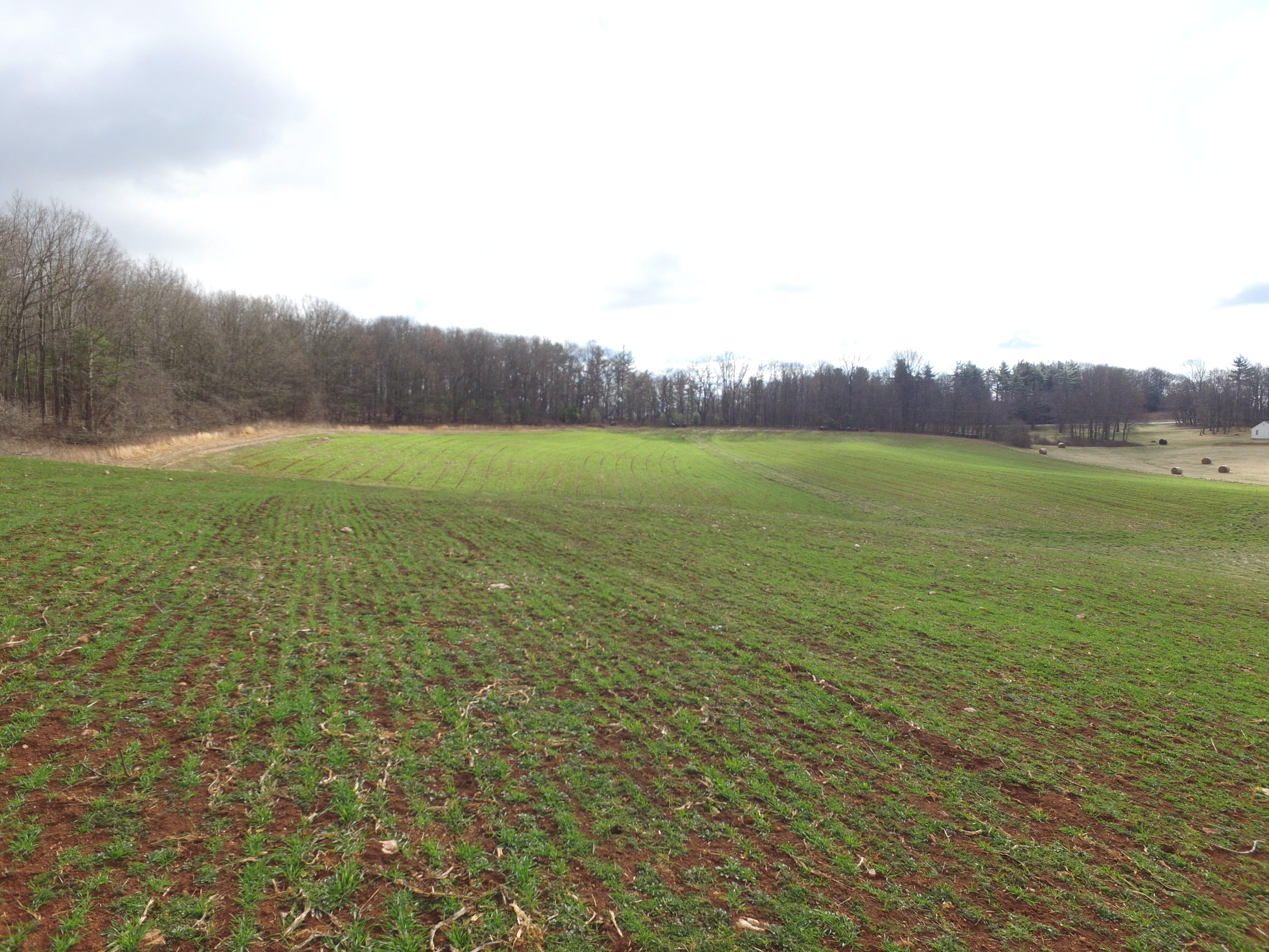 1058 Silverleaf Road Southeast Floyd, VA 24091 - Photo 38 of 55 a view of a field with an ocean