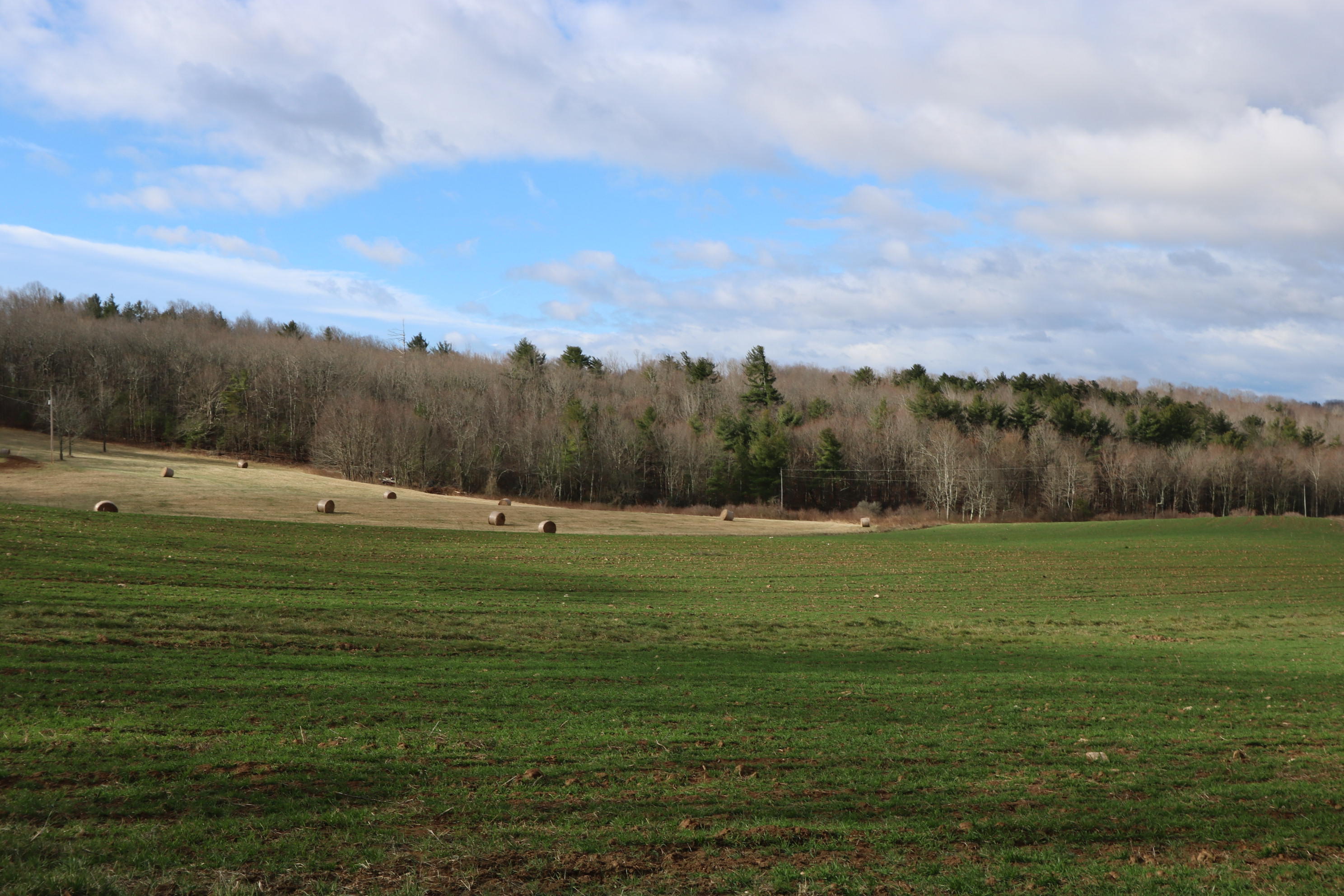 1058 Silverleaf Road Southeast Floyd, VA 24091 - Photo 40 of 55 a view of a grassy field