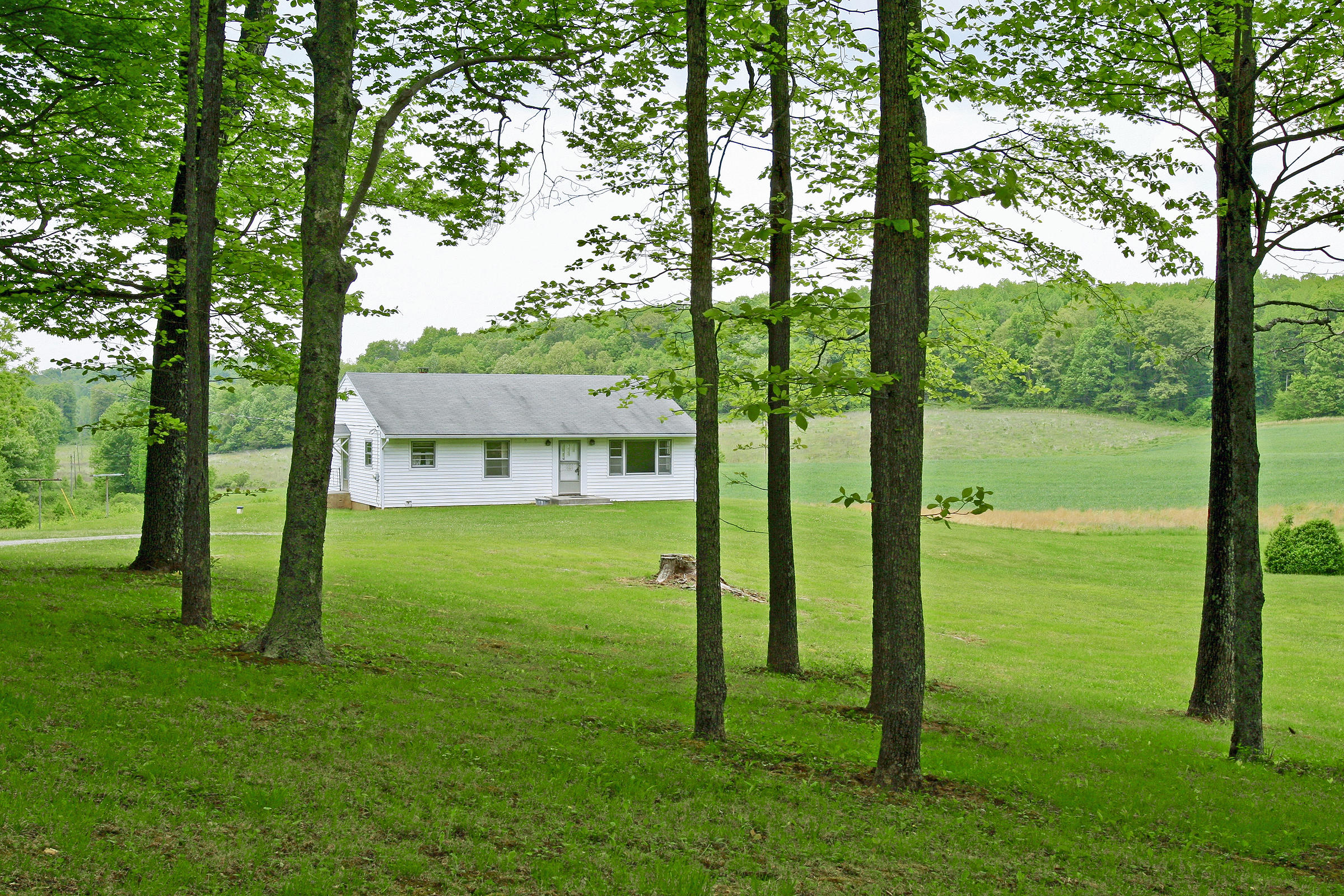 1058 Silverleaf Road Southeast Floyd, VA 24091 - Photo 5 of 55 a view of an house with backyard space and garden