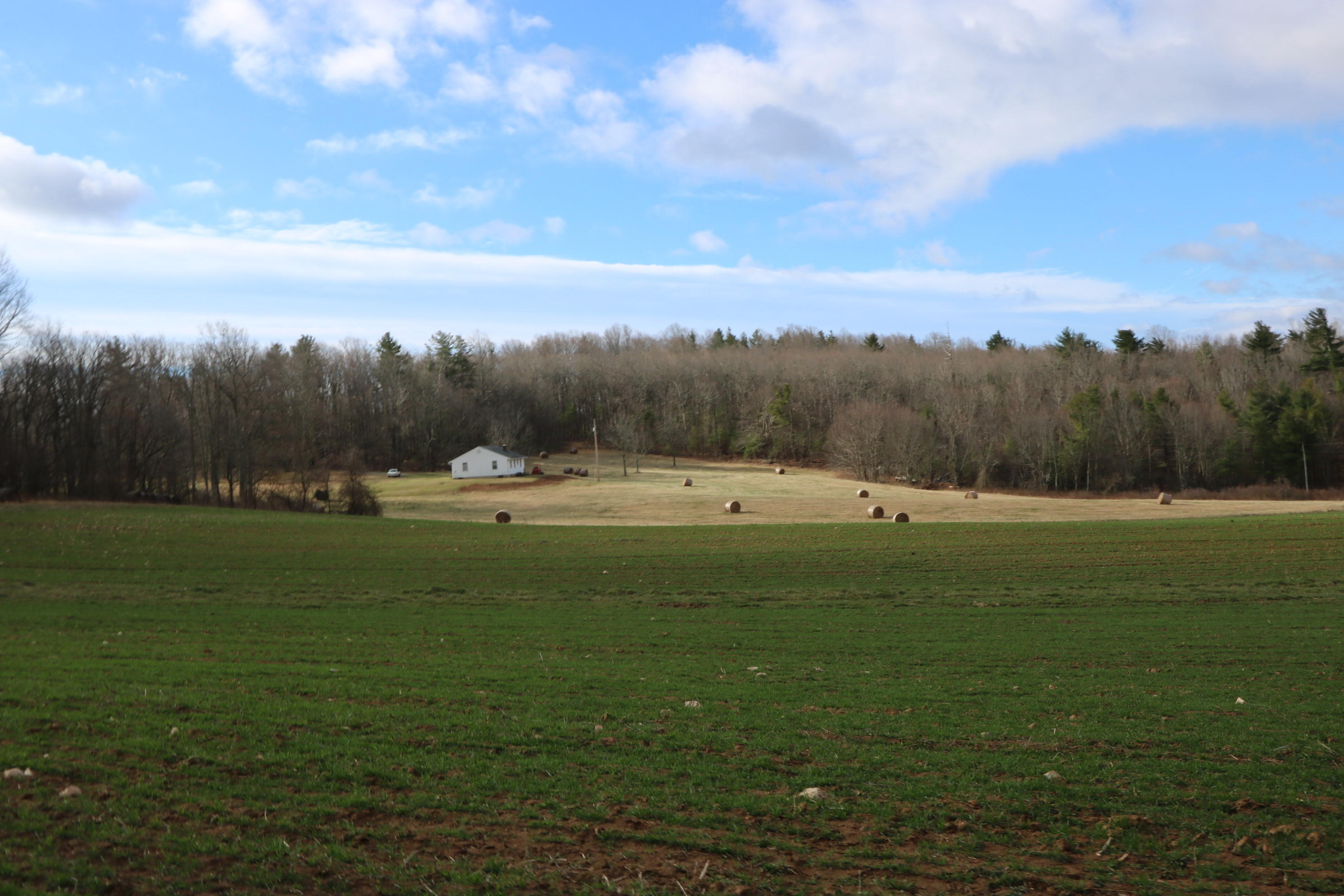 1058 Silverleaf Road Southeast Floyd, VA 24091 - Photo 41 of 55 IMG_6522
