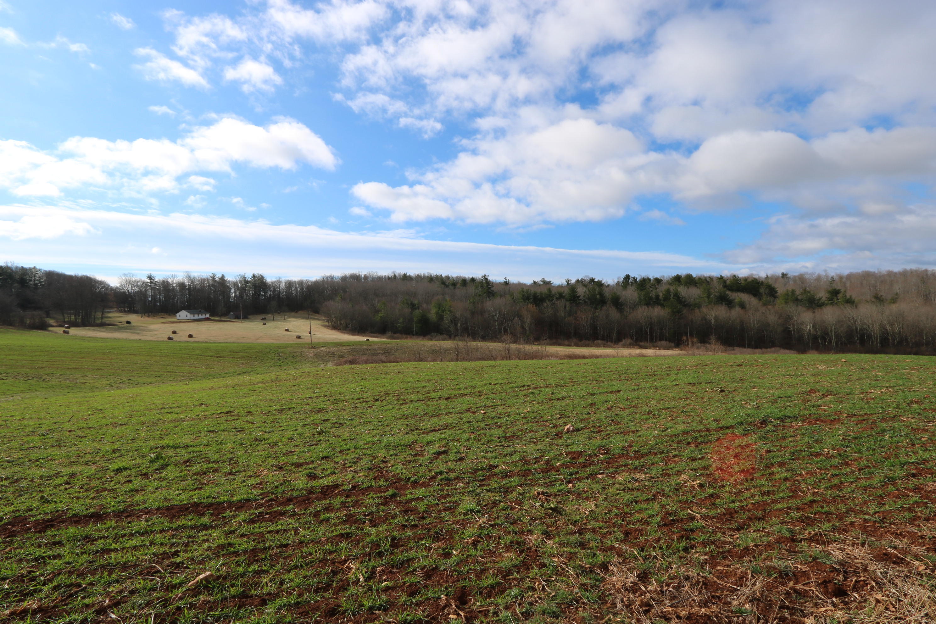 1058 Silverleaf Road Southeast Floyd, VA 24091 - Photo 43 of 55 a view of an ocean from a yard