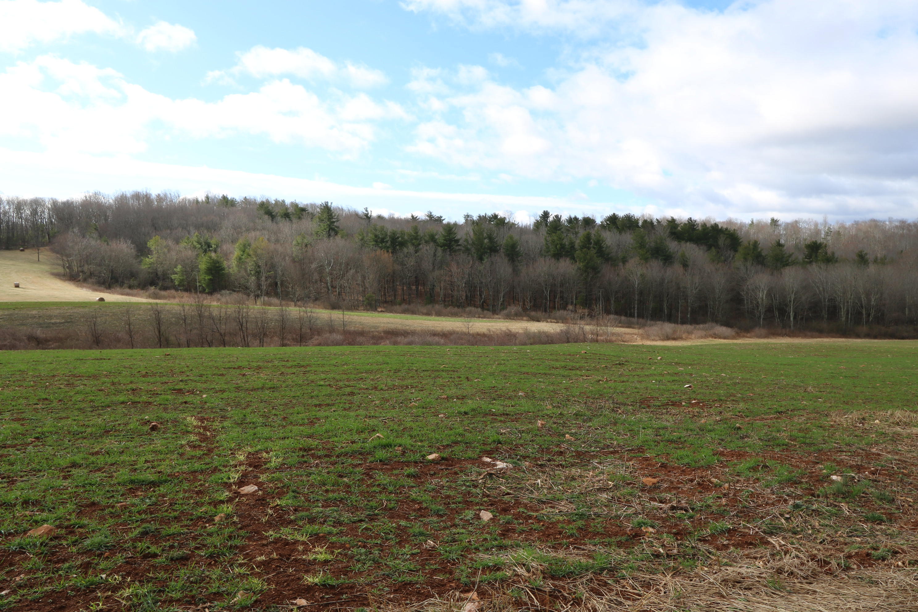 1058 Silverleaf Road Southeast Floyd, VA 24091 - Photo 44 of 55 a view of outdoor space and yard
