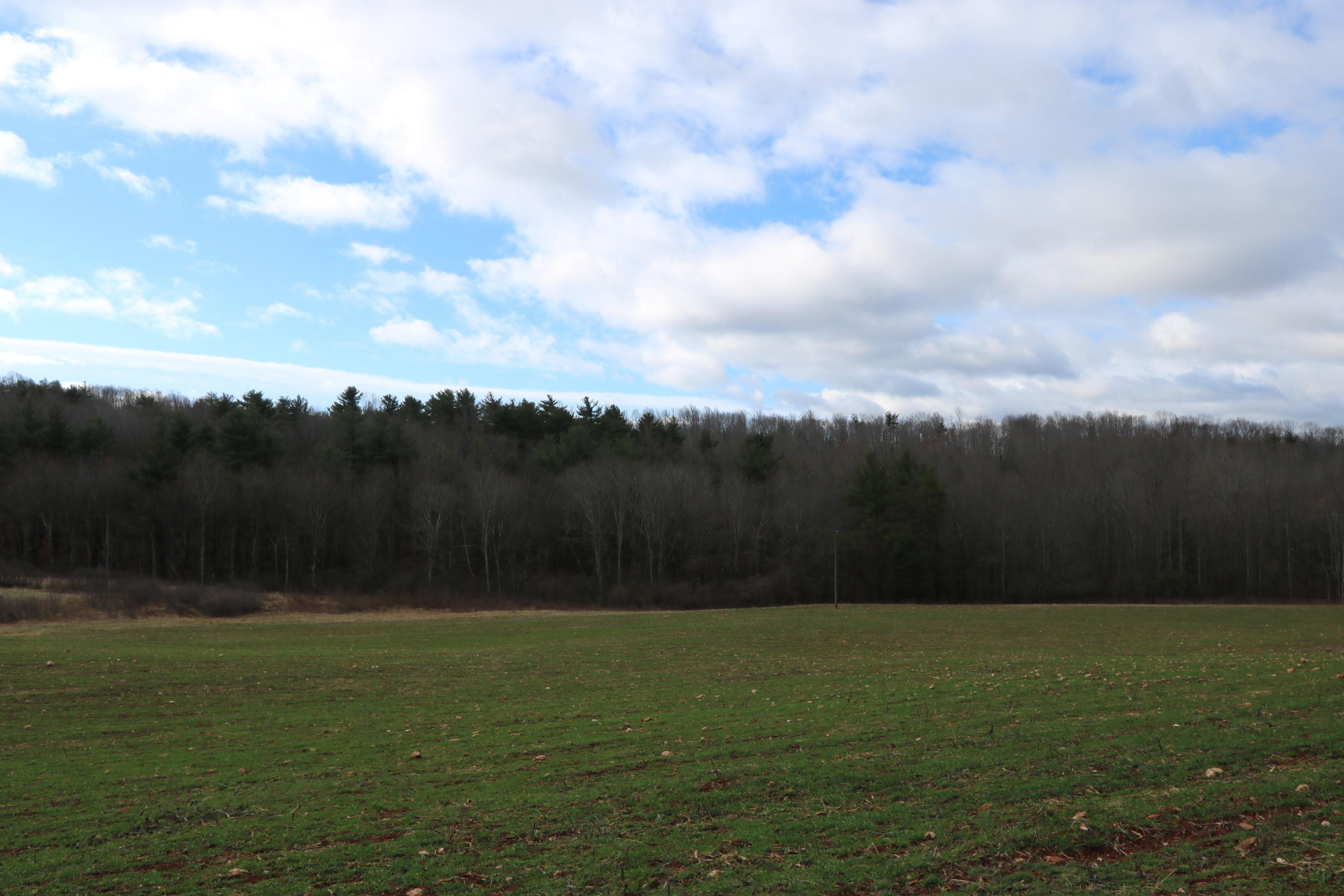 1058 Silverleaf Road Southeast Floyd, VA 24091 - Photo 45 of 55 a view of an outdoor space and a yard