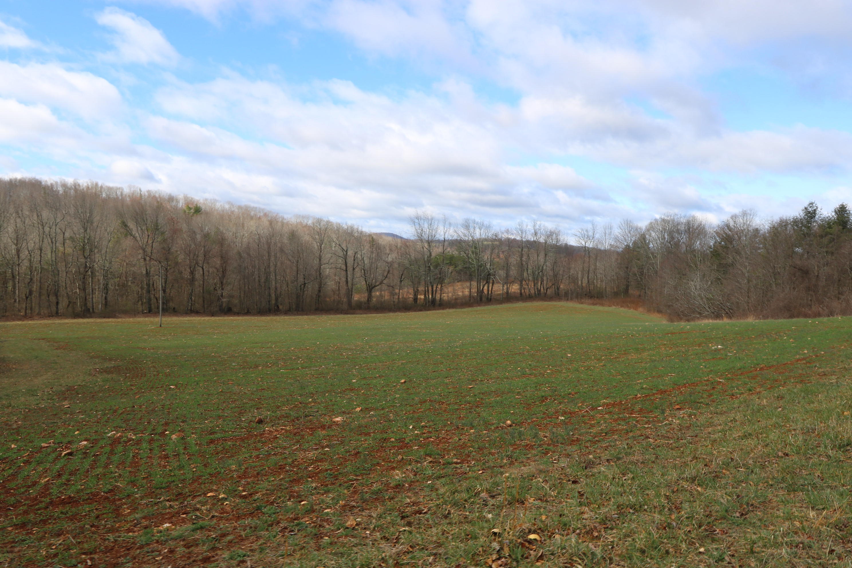 1058 Silverleaf Road Southeast Floyd, VA 24091 - Photo 46 of 55 IMG_6565