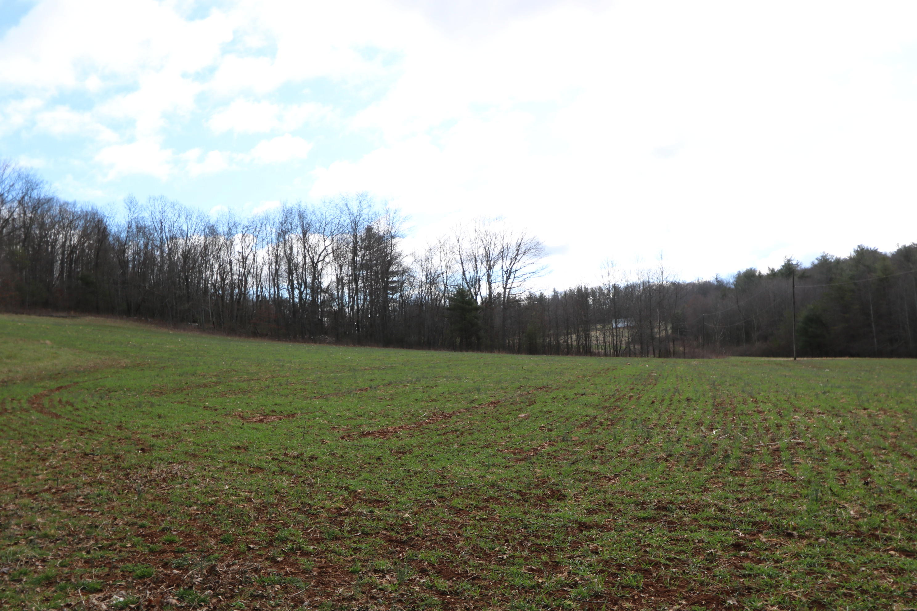 1058 Silverleaf Road Southeast Floyd, VA 24091 - Photo 47 of 55 IMG_6572
