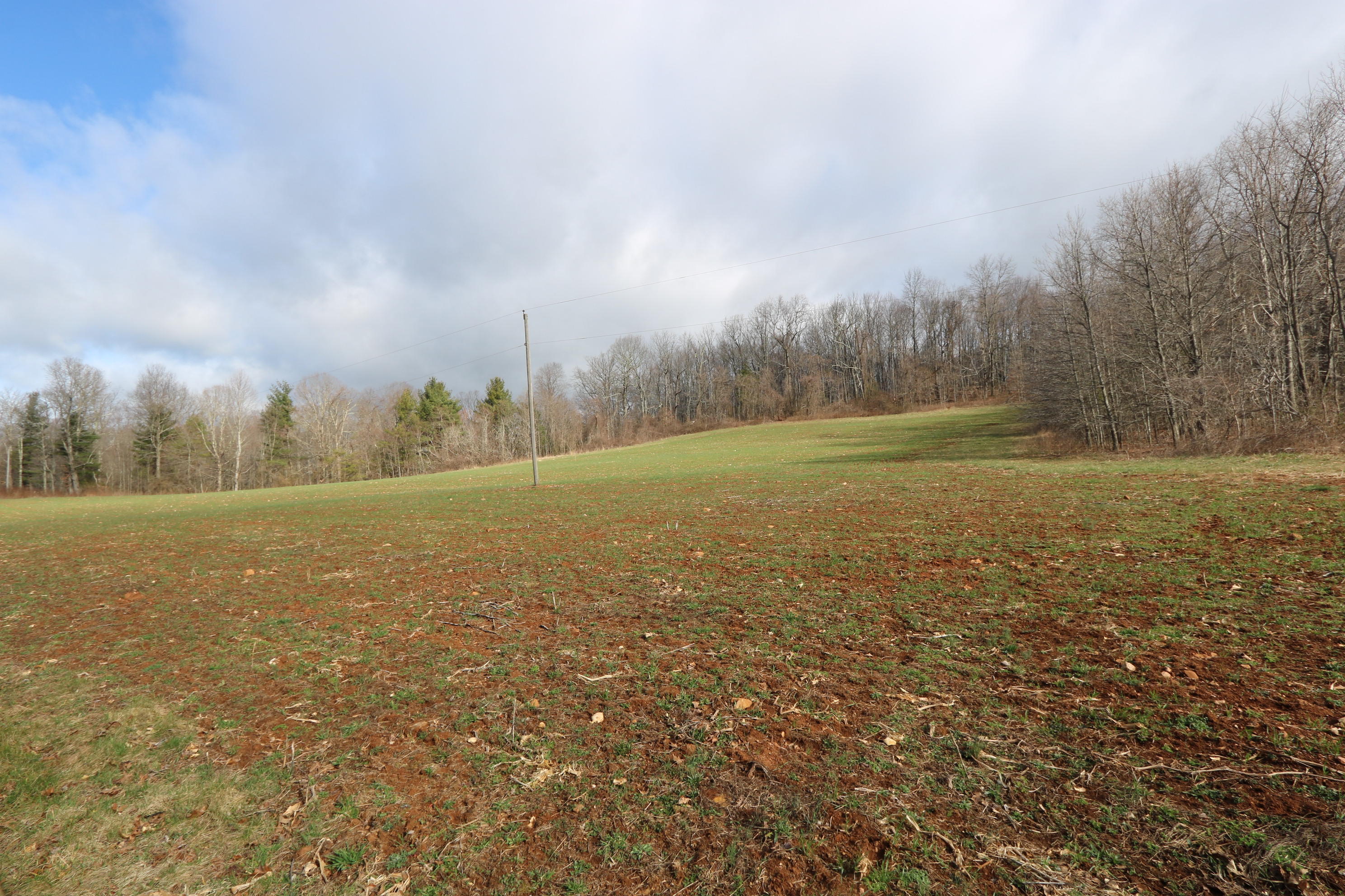 1058 Silverleaf Road Southeast Floyd, VA 24091 - Photo 49 of 55 a view of a field with trees in background