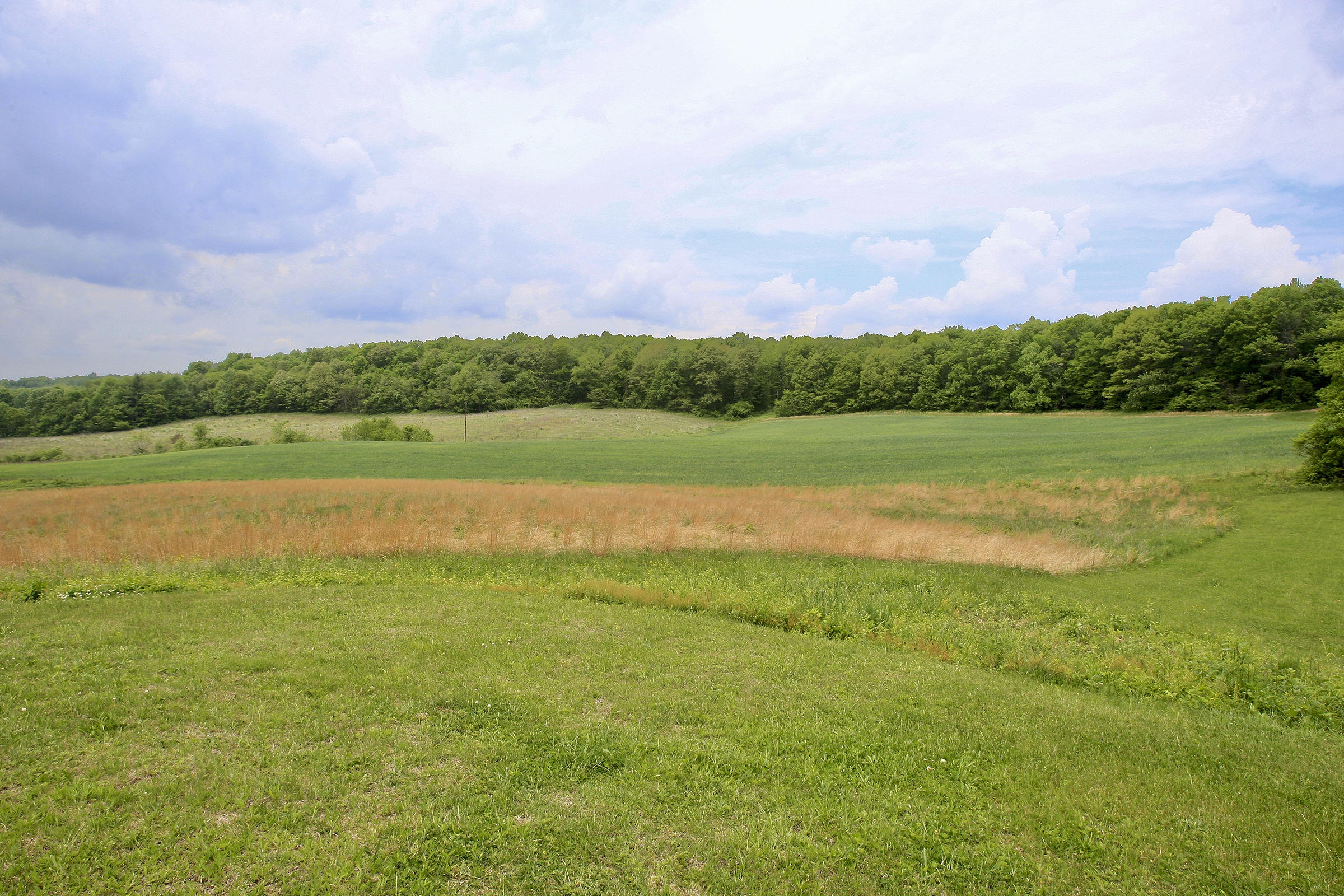 1058 Silverleaf Road Southeast Floyd, VA 24091 - Photo 6 of 55 a view of a lake with houses in the back